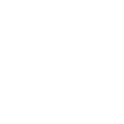 image icon representing the goal-line-back ability