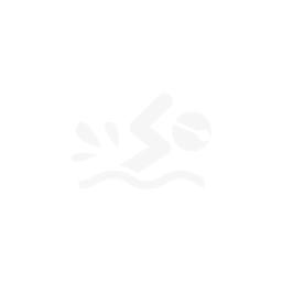 image icon representing the swim-club ability